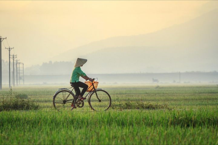 Hanoi Countryside Cycling Tour ( 6 Hours )