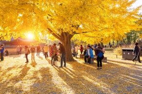 骑自行车西贡到吴哥窟