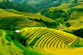 Mix By Train+Limo: Sapa 3 Days 3 Nights: 1 Night Hotel – 1 Night Homestay + 1 Night On Train