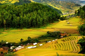 From City Lights to Limestone Peaks: Hanoi • Mai Chau • Pu Luong • Halong 6 Days 5 Nights