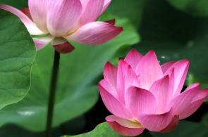 Du Lịch Huế - Nakhon Phanom - Vientiane