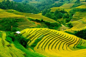 Mix By Train+Limo: Sapa 3 Days 3 Nights: 1 Night Hotel – 1 Night Homestay + 1 Night On Train