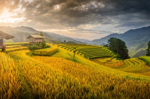 Sài Gòn/ Cần Thơ - Hà Nội - Sa Pa - Hà Giang - Ninh Bình 6 Ngày 5 Đêm