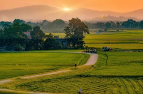 By Scooter : Hanoi Countryside Tour - 6 Hours 