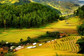 From City Lights to Limestone Peaks: Hanoi • Mai Chau • Pu Luong • Halong 6 Days 5 Nights