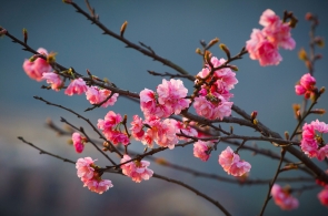 Hà Nội - Sapa - Chinh Phục Nóc Nhà Đông Dương Fansipan- Lào Cai