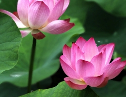 Chuyên nghiệp, tận tình với khách hàng