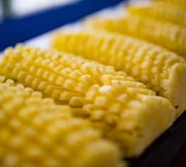 Luxury_Alisa_cruise_3days2nights