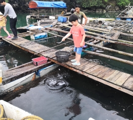 32851508447_4734d3a65c_k