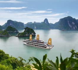 44873592982_76d6ff9f99_h