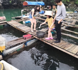 46878581205_57645b4b31_k