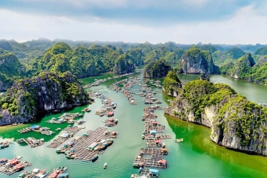 DAY 2: TRA BAU FLOATING VILLAGE - TUAN CHAU MARINA