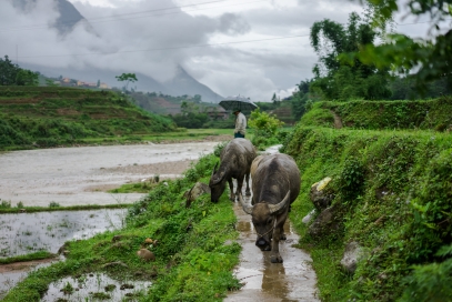 By Luxury Limousine : Sapa 3 Days - 2 Nights Stay In Hotel