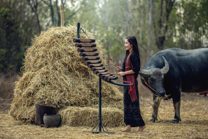Siemreap - Pattaya - Bangkok 