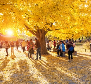 骑自行车西贡到吴哥窟