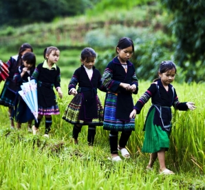 Sa Pa Tour 2 Ngày 1 Đêm ( Đi 7H Sáng Ngày 1 Về Tối 20H30 Ngày 2)