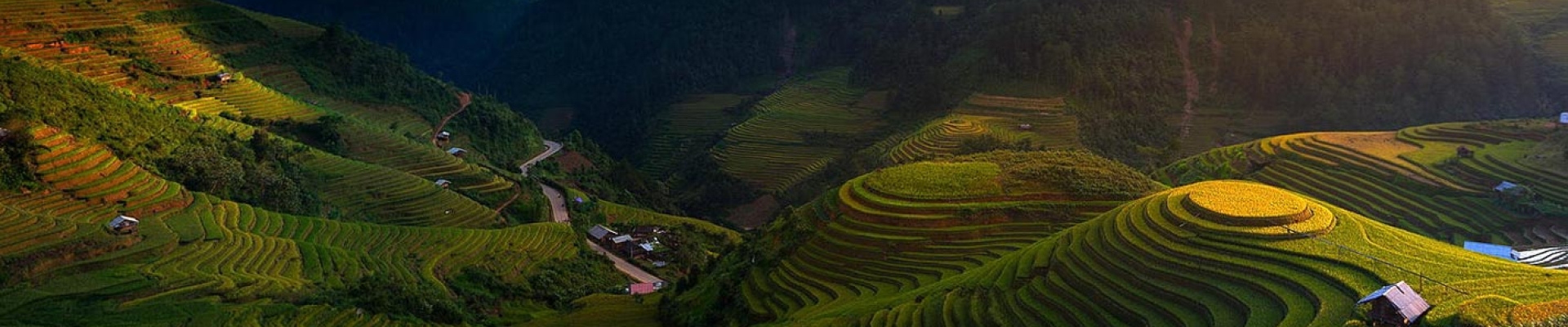 Mu Cang Chai