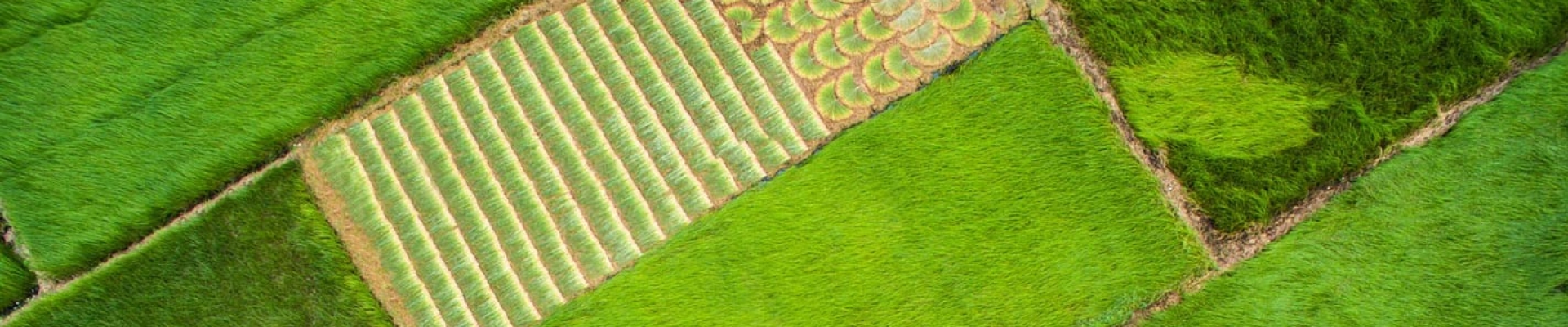 Tra Vinh