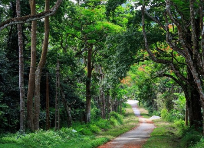 Cuc_Phuong_national_park_cycling_tour