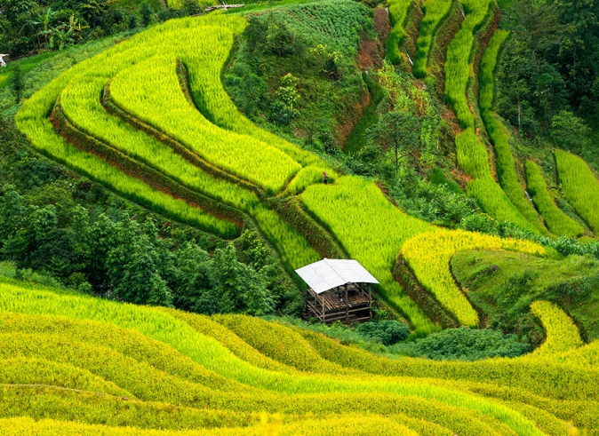 ha-giang-rice-field-trekking