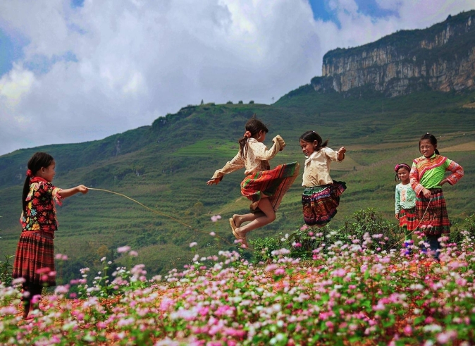 hoa_tam_giac_mach_ha_giang