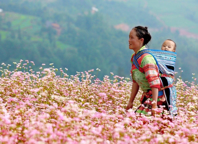 tua_ha_giang_gia_tot_nhat