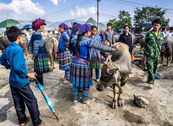 Sapa_bac_ha_market_tour