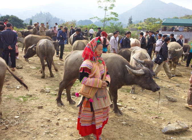 bac_ha_market_tour