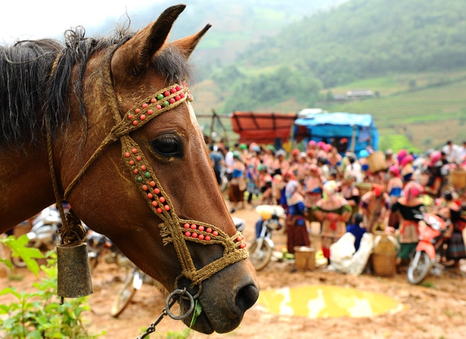 best_bac_ha_market_tour