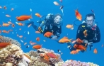 vietnam_snorkeling_tour