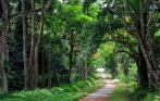 Cuc_Phuong_national_park_cycling_tour