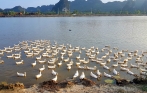trang_an_one_day_tour