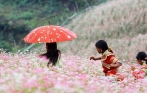 cong_ty_tour_ha_giang_uy_tin_nhat