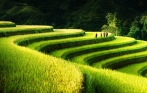 northern_vietnam_package_tour