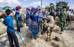 Sapa_bac_ha_market_tour