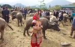 bac_ha_market_tour