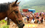 best_bac_ha_market_tour