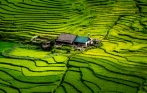 best_tour_operator_in_sapa