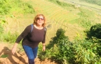 sapa