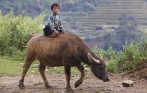 sapa_ethnic_tour