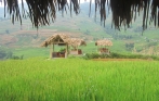 sapa_hard_Trekking_tour