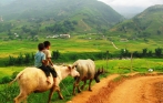 tavanvillage