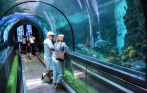 phuket-aquarium-tunnel