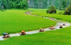 ninh-binh-1