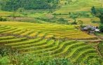 The quiet valleys of Mai Chau