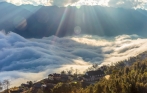Sapa