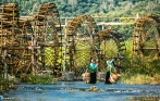 Pu Luong Waterwheels