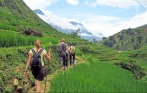 Sapa Trekking