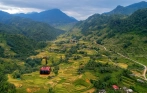 Cable Car