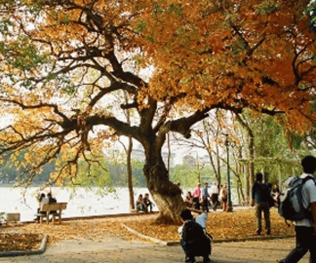 5 Địa Điểm Vui Chơi Cuối Tuần Ở Hà Nội